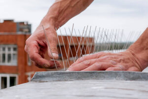 Professional Pigeon Spikes Installation Qatar